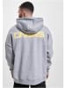 DNGRS Dangerous DNGRS Dangerous Dangerous DNGRS Launch Hoody in grey