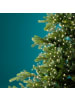 LUMINEO Lichterkette TREE LIGHTS 408 LED 1,8 m, grüner Draht in warm weiß