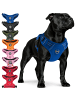 Reichstadt Reichstadt  Hundegeschirr  25RSP083 Blue S