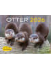 Heel Verlag Kalender - Otter Kalender 2026 Wandkalender Eintragkalender