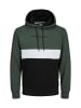 Jack & Jones Hoodie 'Reid Blocking' in grün