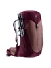 Deuter Rucksack AC Lite 22 SL in Beere
