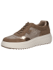Caprice Sneaker in TAUPE COMB