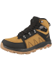 SALOMON Outdoorschuhe Outchill TS WPX in braun