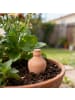 relaxdays 3 x Ollas in Terrakotta - 500 ml