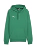 Puma Sweatshirt teamGOAL Casuals Hoody in grün