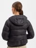 The North Face Daunenjacke Hydrn in schwarz