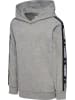 Hummel Kapuzenpullover Hmljr Dance Kinder in GREY MELANGE