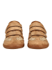 Steve Madden Sneaker in Tan