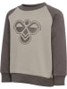 Hummel Anzug Raglanärmel Hmlmini Kinder in DARK GULL GRAY