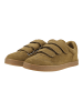 Steve Madden Sneaker DAYBREAK in Khaki