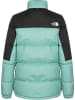 The North Face Winterjacken in wasabi/black