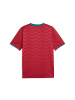 Puma T-Shirt "Fpf Home Jersey Replica" in Rot