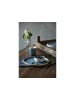 Studio Round Becher North in Shiny river/Matte white