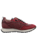 Hispanitas Schnürschuhe in wine