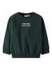 name it Sweatshirt in Pine Grove