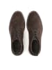 Kazar Chelsea Boots in Braun