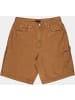 Santa Cruz Short "Carpenter Big Shorts" in Grün