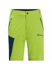 Jack Wolfskin Funktionsshorts Glastal in Senf