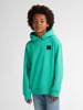 Petrol Industries Logo Hoodie Ozark in Grün
