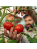 relaxdays 4 x Ranknetz in Grün - (B)270 x (H)180 cm