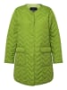 Ulla Popken Steppjacke in dill