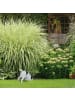 relaxdays Hund-Gartenfigur "buddelnd" in Weiß/ Schwarz - (B)28 x (H)23 x (T)17 cm