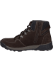 Josef Seibel Stiefelette Raymond 53 in braun