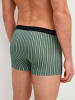 Calida New Boxer, 3er-Pack in agave green