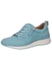 Caprice Sneaker in LT.BLUE SUEDE