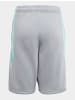 adidas adidas Sweat Shorts in light grey