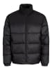 JACK & JONES PLUS Steppjacke in Black