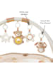 Fehn 3D Activity-Decke Teddy - Rainbow in braun,beige