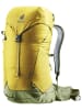 Deuter Wanderrucksack AC Lite 24_2022 in Turmeric/Khaki