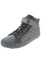 Geox Sneaker high Grau