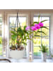 relaxdays 2 x Blumenampel in Weiß - (H)54 x Ø18,5 cm