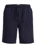 Jack & Jones Shorts in Sky Captain
