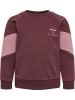 Hummel Sweatshirt Hmlkris Mädchen in CATAWBA GRAPE