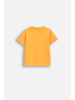 Coccodrillo T-Shirt mit kurzen Ärmeln in orange