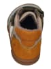 KOEL Sneaker High KABRIEL 3.0 SUEDE extra weit in bunt