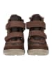 PEPINO Stiefelette PEDRO Marone