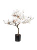 Creativ green Künstlicher Magnolienbaum beschneit, 20 LED