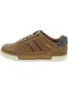Camel Active Sneaker low Braun