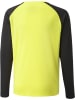 Puma Sportshirt "TeamPACER GK Longsleeve Jersey Jr" in Gelb