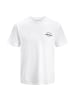Jack and Jones 3er Pack T-Shirts Brandon Tee SS Crew Neck in Mehrfarbig