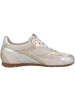 Gabor Sneaker low 86.565 in beige