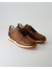 Sioux Sneaker low in Braun