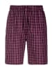 AUTHENTIC LE JOGGER Shorty in grau-meliert-bordeaux-kariert