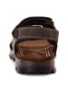 Camel Active Sandalen aus perforiertem Leder in Braun