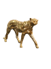möbel-direkt Standdekoobjekt Gepard in gold